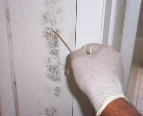 Mold Sampling